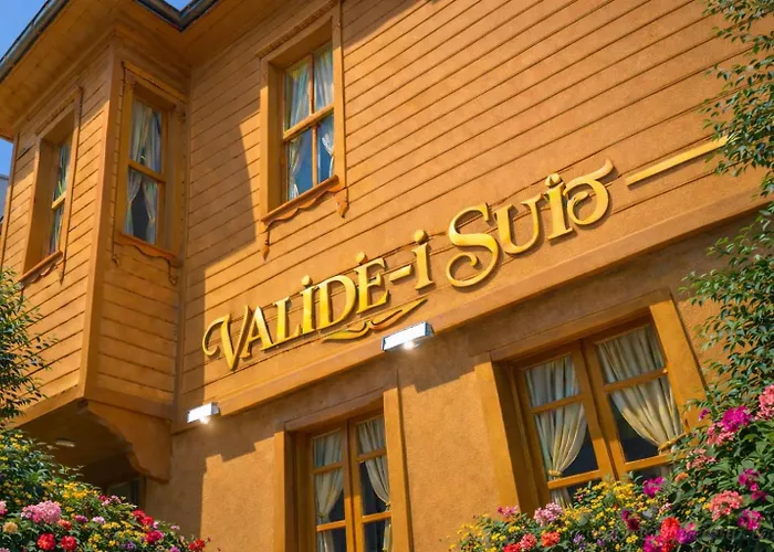 Valide-maide 伊斯坦布尔